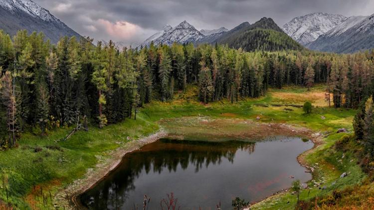 Постер Zapovednik