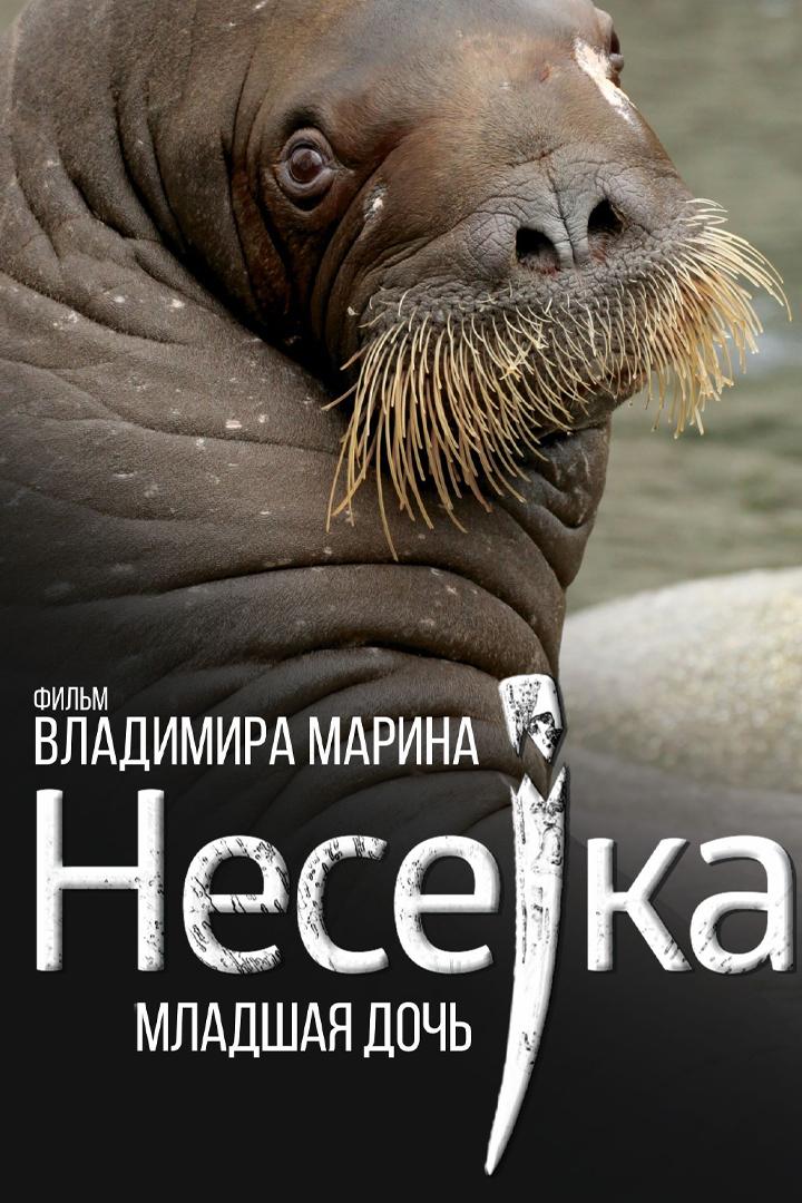 Несейка. Младшая дочь (nesejka-mladshaja-doch) Документальный фильм