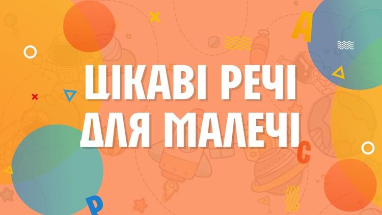 Постер Цікаві речі для малечі