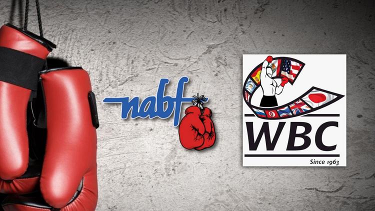 Постер Бой за титул NABF и отборочный поединок по версиям WBC и IBF во 2-м полусреднем весе. Андре Берто - Дэвид Эстрада