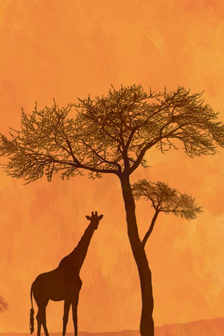 Африка Будущее 6 (afrika-buduschee-6) Познавательное