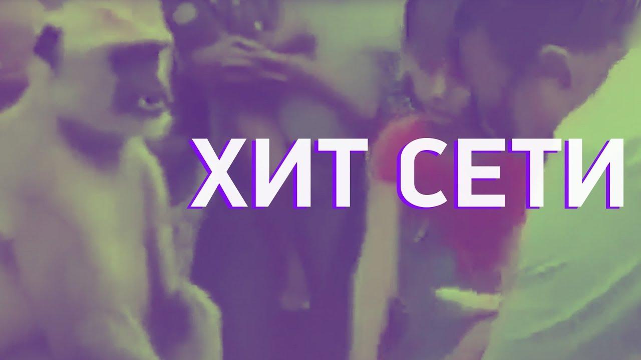 Хит сети (hit-seti) Познавательное