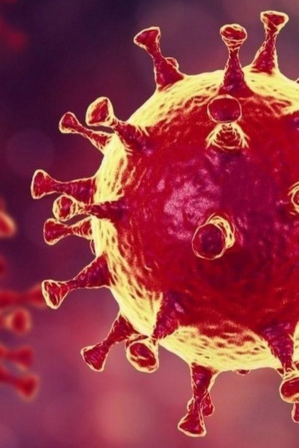 Коронавирус. Дерт ошағы (koronavirus-dert-oshay) Документальный фильм