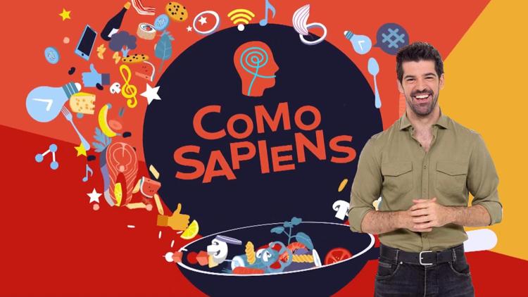 Постер Como Sapiens