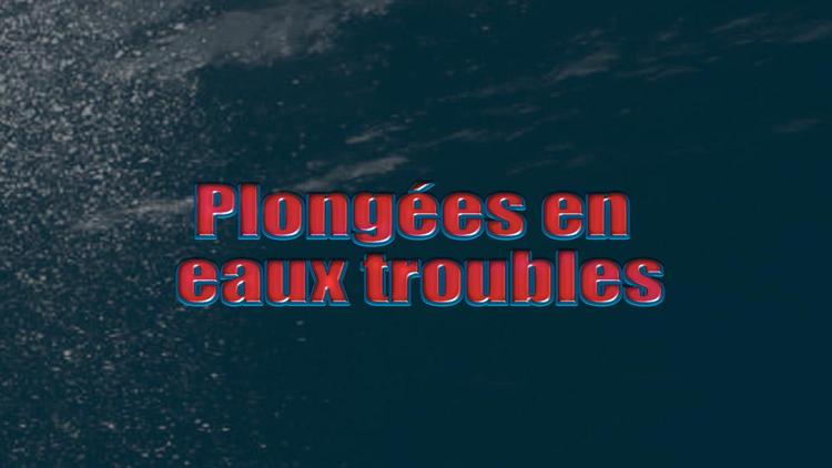 Постер Plongées en eaux troubles