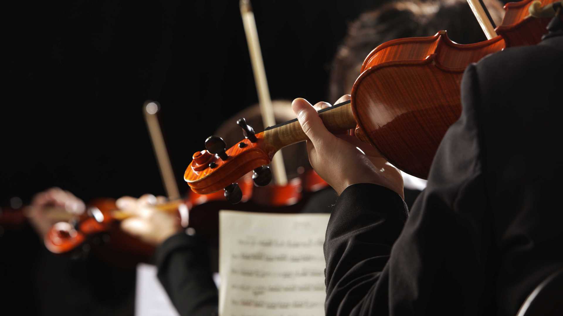 Российский национальный оркестр (rossijskij-natsionalnyj-orkestr) Досуг, хобби