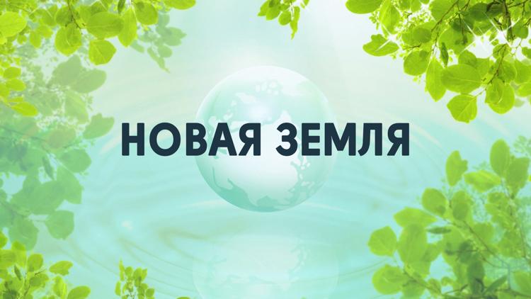 Постер Новая земля