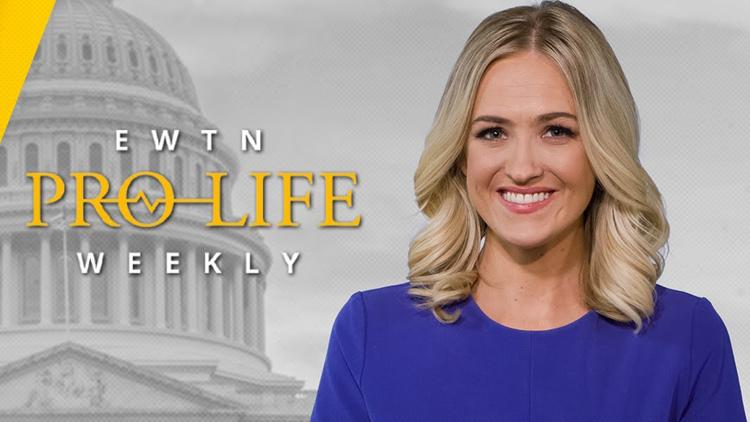 Постер EWTN pro-life weekly