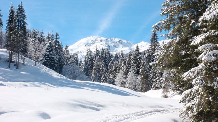 Постер Weißblaue Wintergeschichten