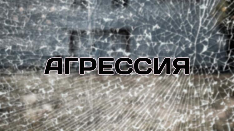 Постер Агрессия