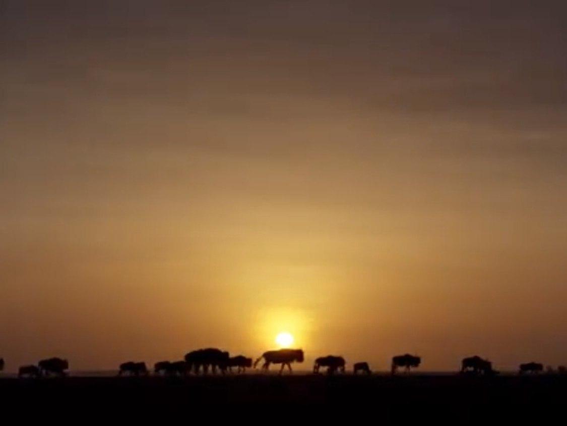 Охота (ohota) Документальный сериал