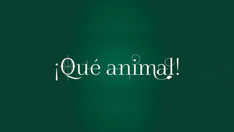 Постер ¡Qué animal!