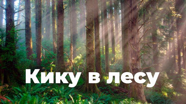 Постер Кику в лесу