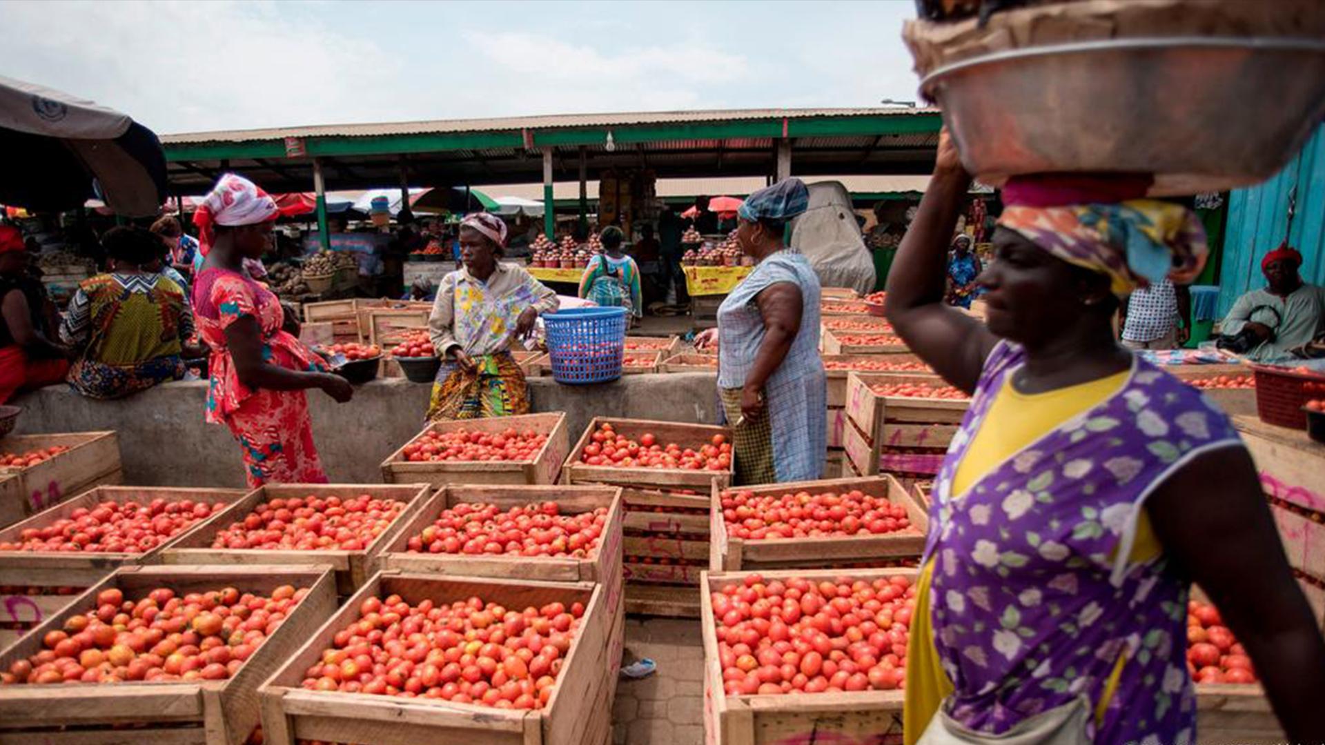 Displaced: Tomatoes and Greed — The Exodus of Ghana's Farmers (displaced-tomatoes-and-greed-the-exodus-of-ghanas-farmers) Документальный фильм