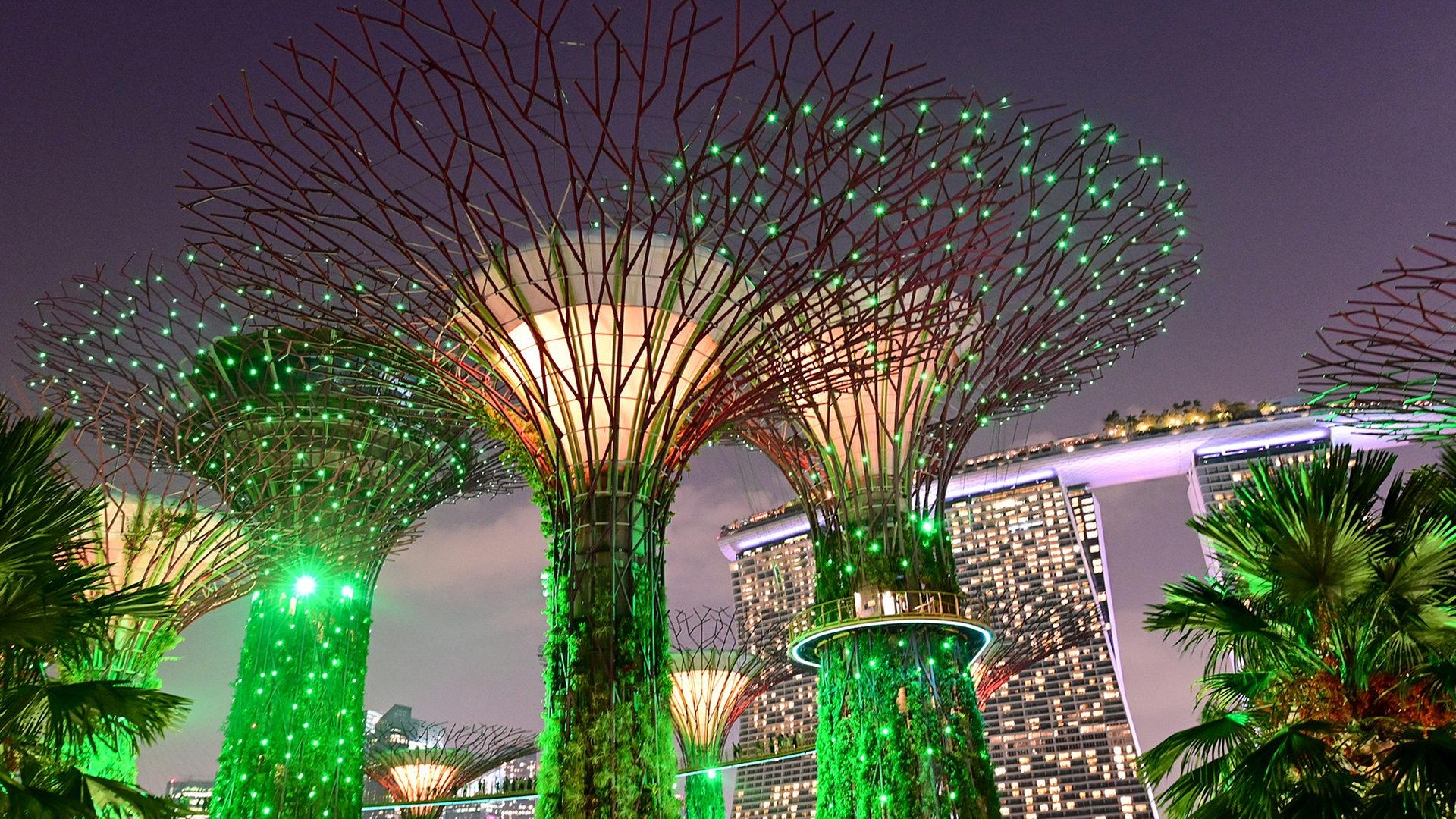 Wunderwelt Singapur - Himmelsstürmer und Geisterjäger (wunderwelt-singapur-himmelsstrmer-und-geisterjger) Документальный фильм