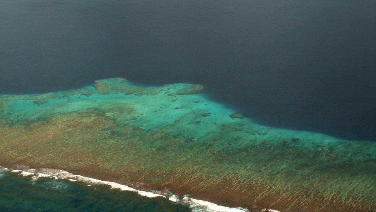 Экспедиция: Юг Большой Лагуны (ekspeditsija-jug-bolshoj-laguny) Документальный фильм