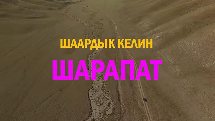 Постер Шаардык келин Шарапат