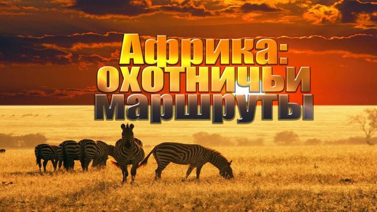 Постер Африка: охотничьи маршруты