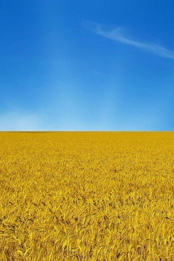 Гордость Украины (gordost-ukrainy) Познавательное