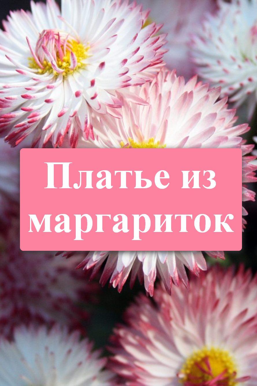 Платье из маргариток (plate-iz-margaritok) Сериал 2020