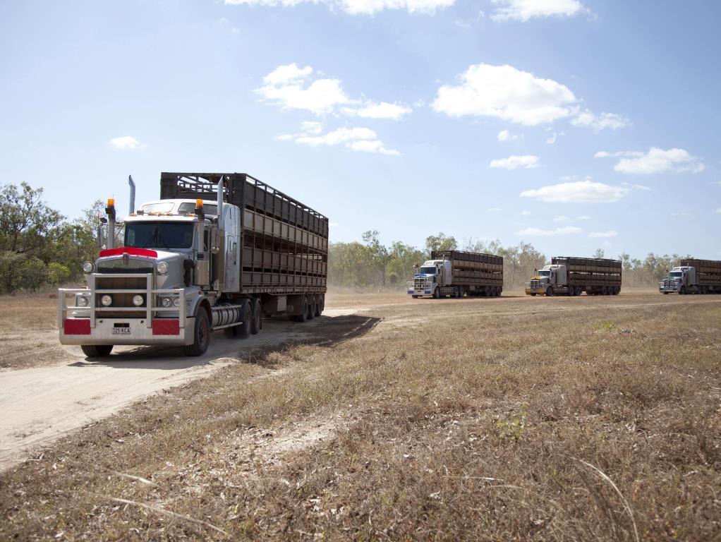 Самые крутые дальнобойщики (samye-krutye-dalnobojschiki) ТВ-шоу