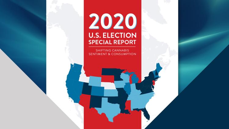 Постер Special Report: U.S. Election 2020