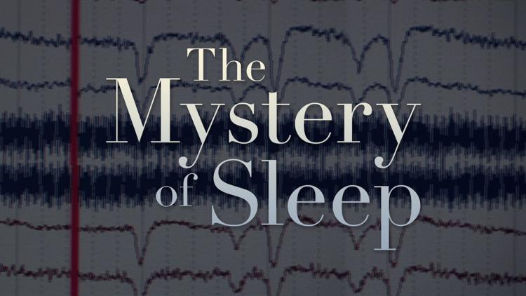 Постер The Mystery of Sleep