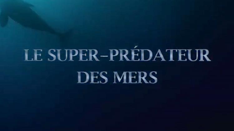 Постер Les super-prédateurs des mers