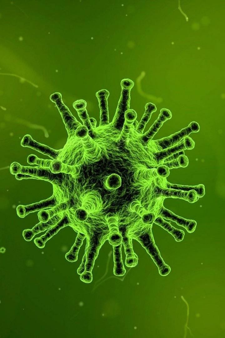 Covid-19. Коронавирус (covid-19-koronavirus) Познавательное