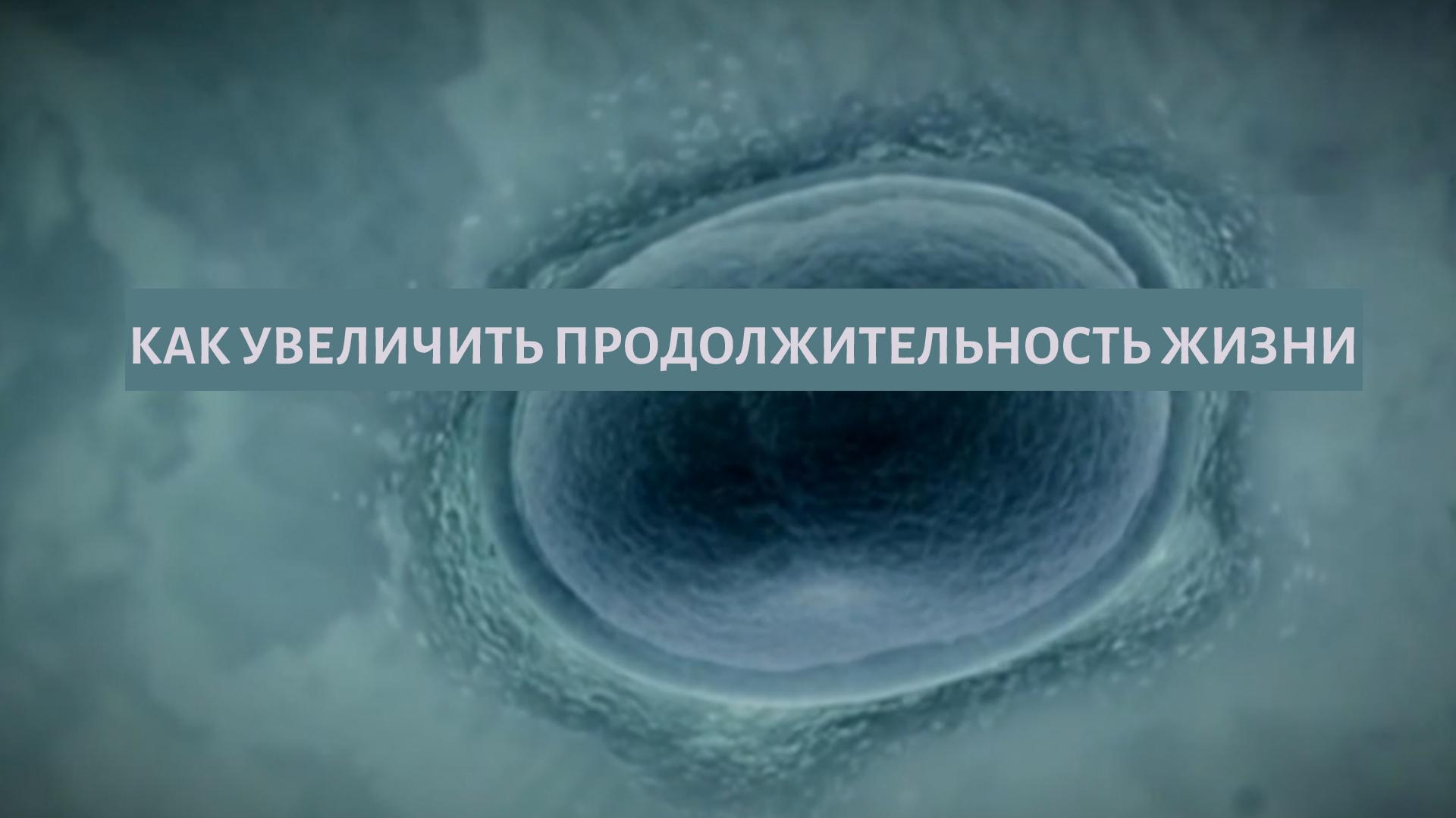 Как увеличить продолжительность жизни (kak-uvelichit-prodolzhitelnost-zhizni) Документальный фильм