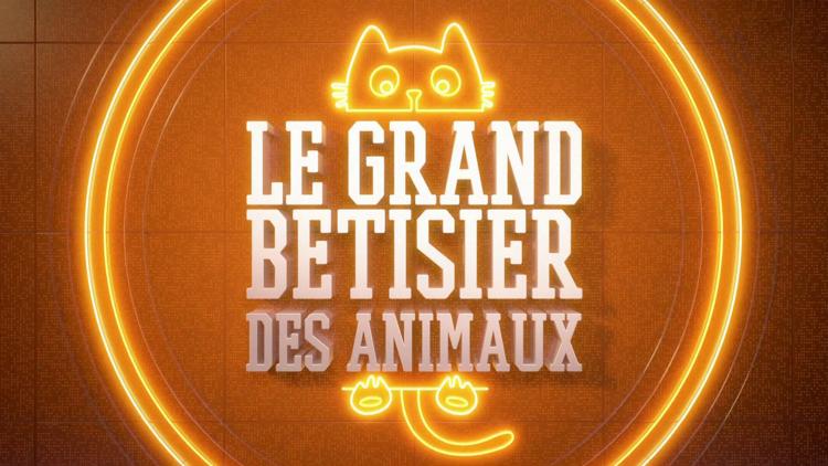 Постер Le grand bêtisier des animaux