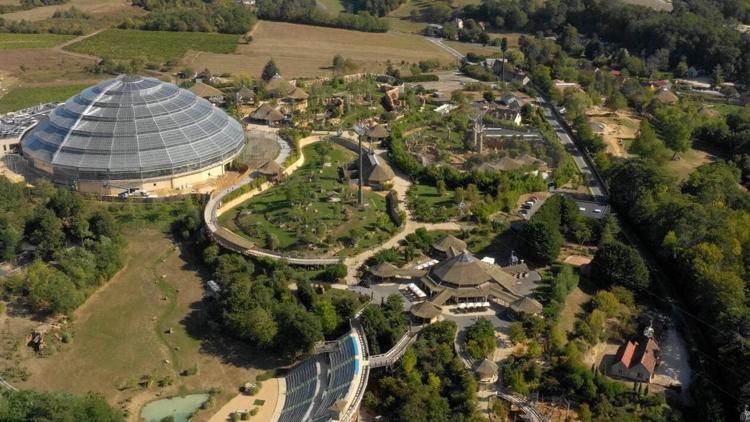 Постер Zoo de Beauval : au coeur de la machine