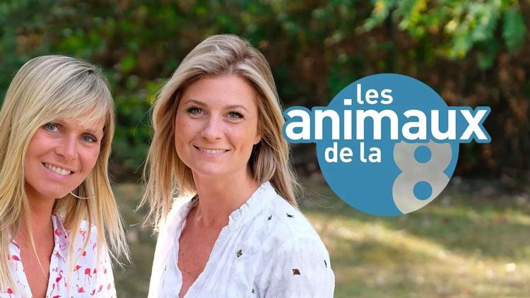 Постер Les animaux de la 8