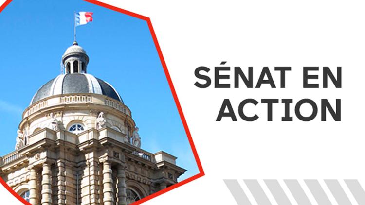 Постер Sénat en action