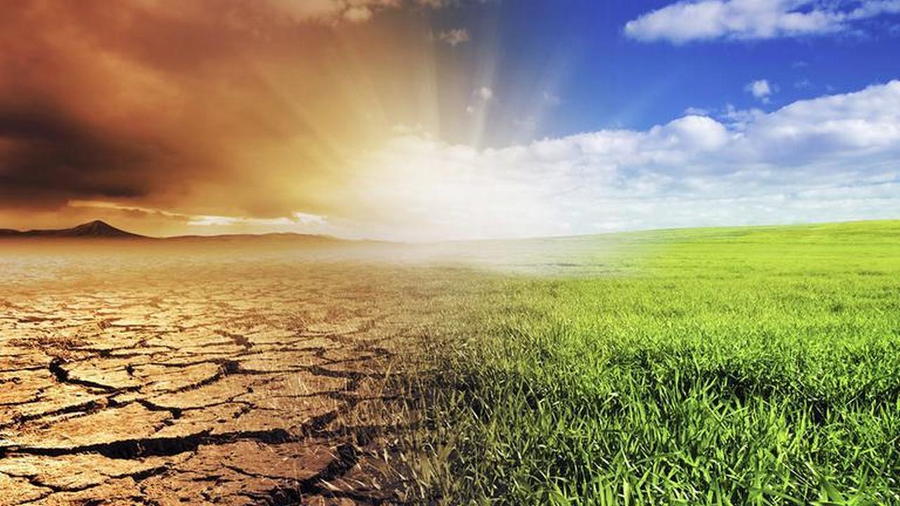 Klimawandel (klimawandel) Познавательное