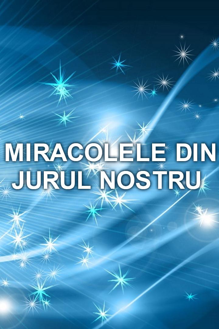 Miracolele din jurul nostru (miracolele-din-jurul-nostru) Познавательное