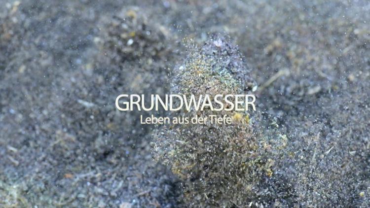 Постер Grundwasser - Leben aus der Tiefe