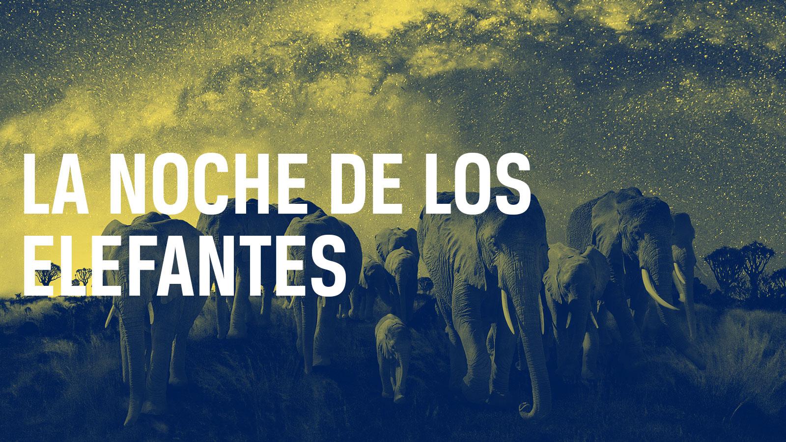 La noche de los elefantes (la-noche-de-los-elefantes) Документальный сериал