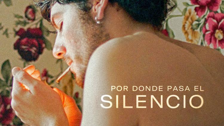 Постер Por donde pasa el silencio