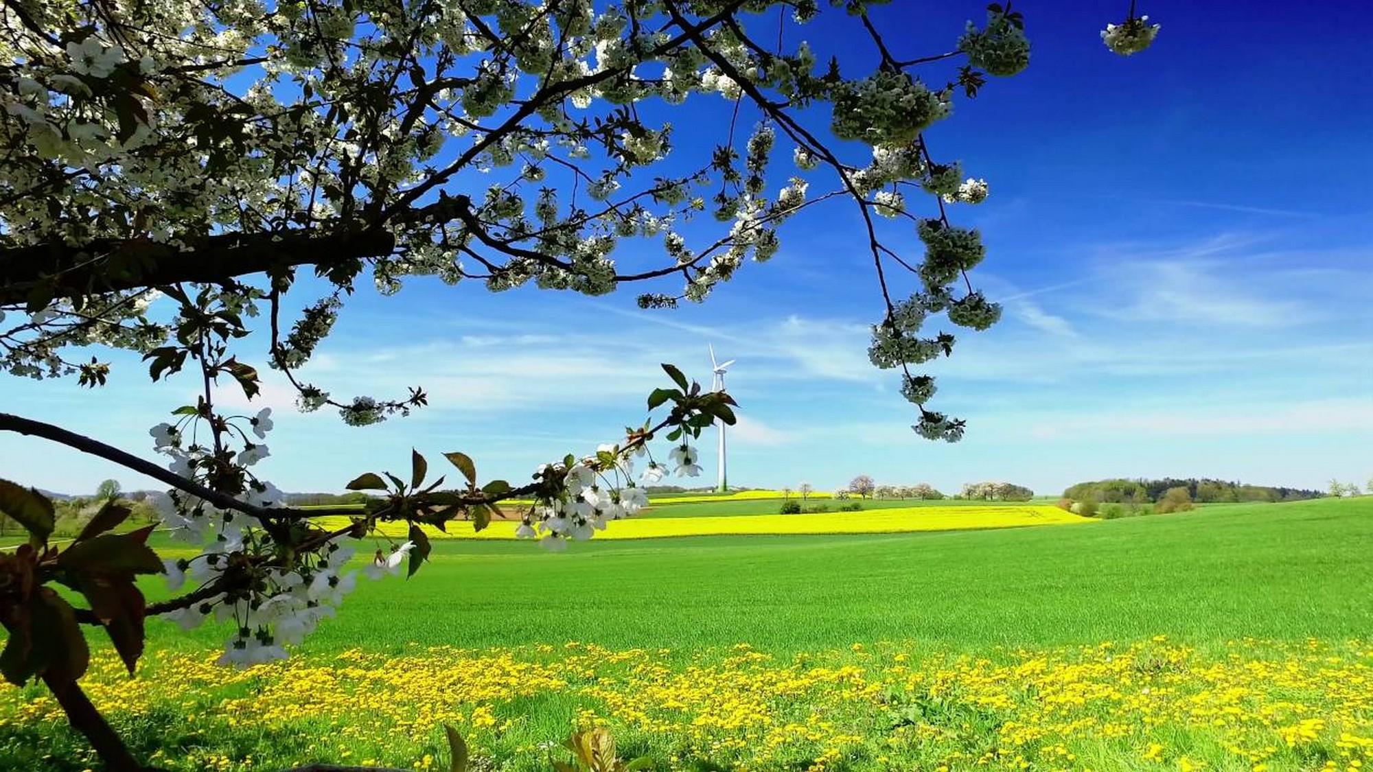 Garten Eden in Franken (garten-eden-in-franken) Познавательное