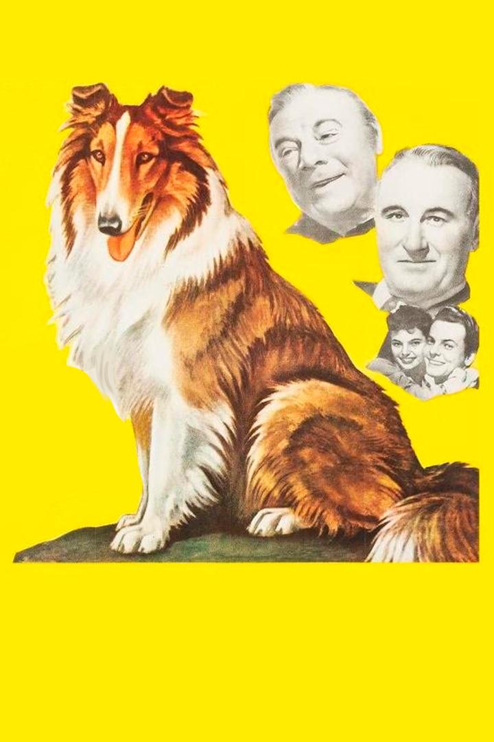 Вызов Лесси (vyzov-lessi) Фильм 1949