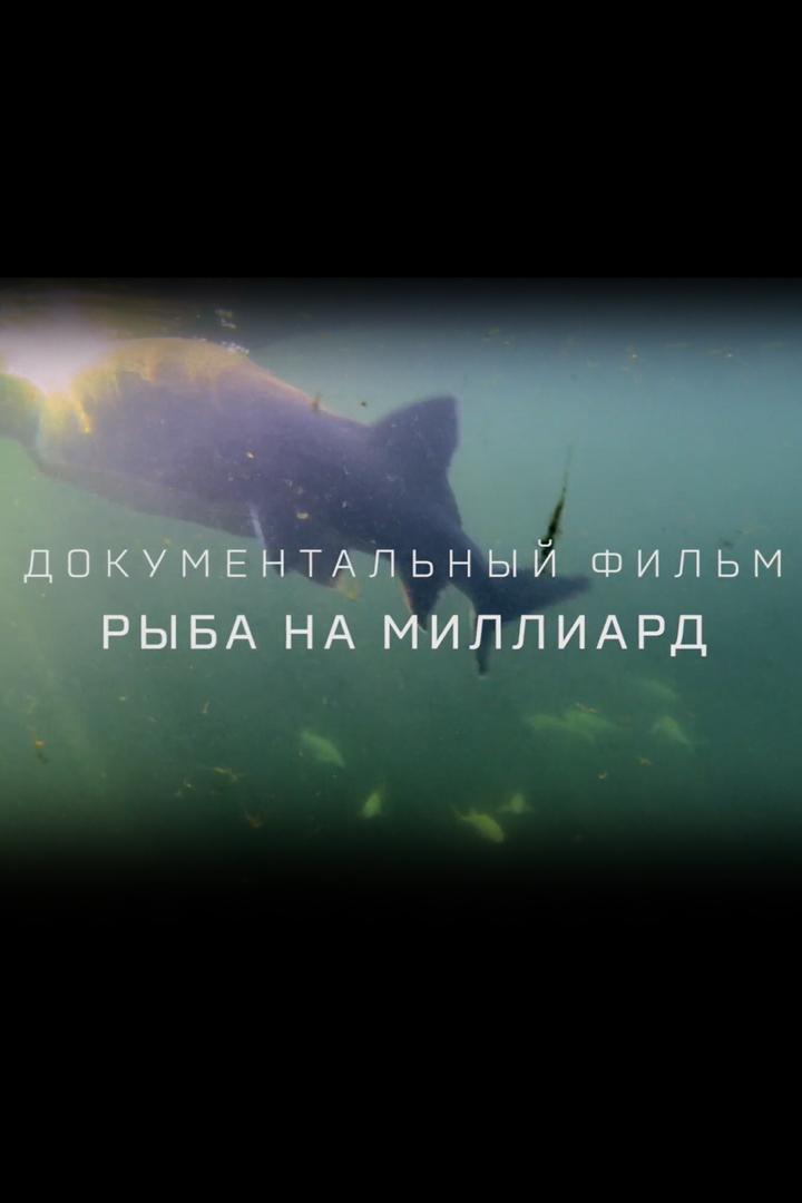 Рыба на миллиард (ryba-na-milliard) Документальный фильм