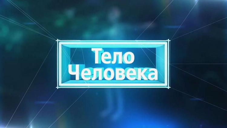 Постер Тело человека