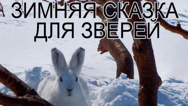 Постер Зимняя сказка для зверей