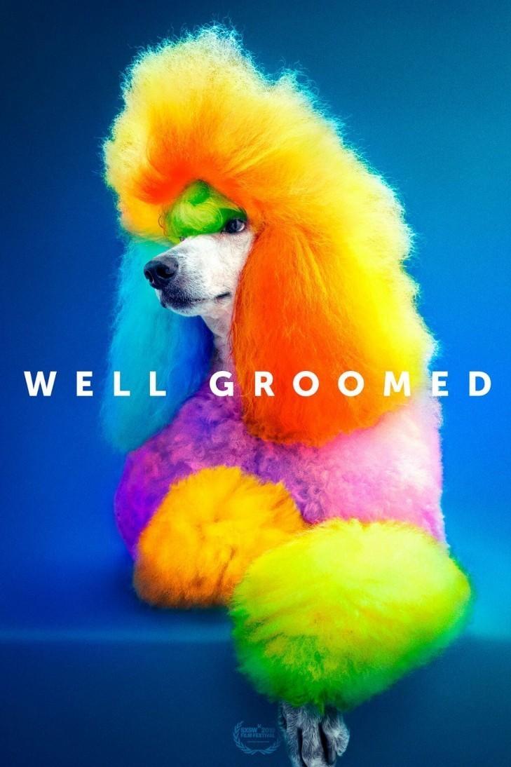 Well Groomed (well-groomed) Фильм 2019