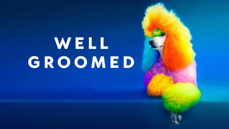 Постер Well Groomed