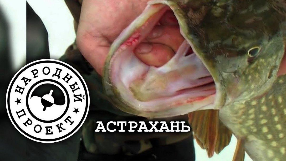 Народный проект. Астрахань (narodnyj-proekt-astrahan) Досуг, хобби