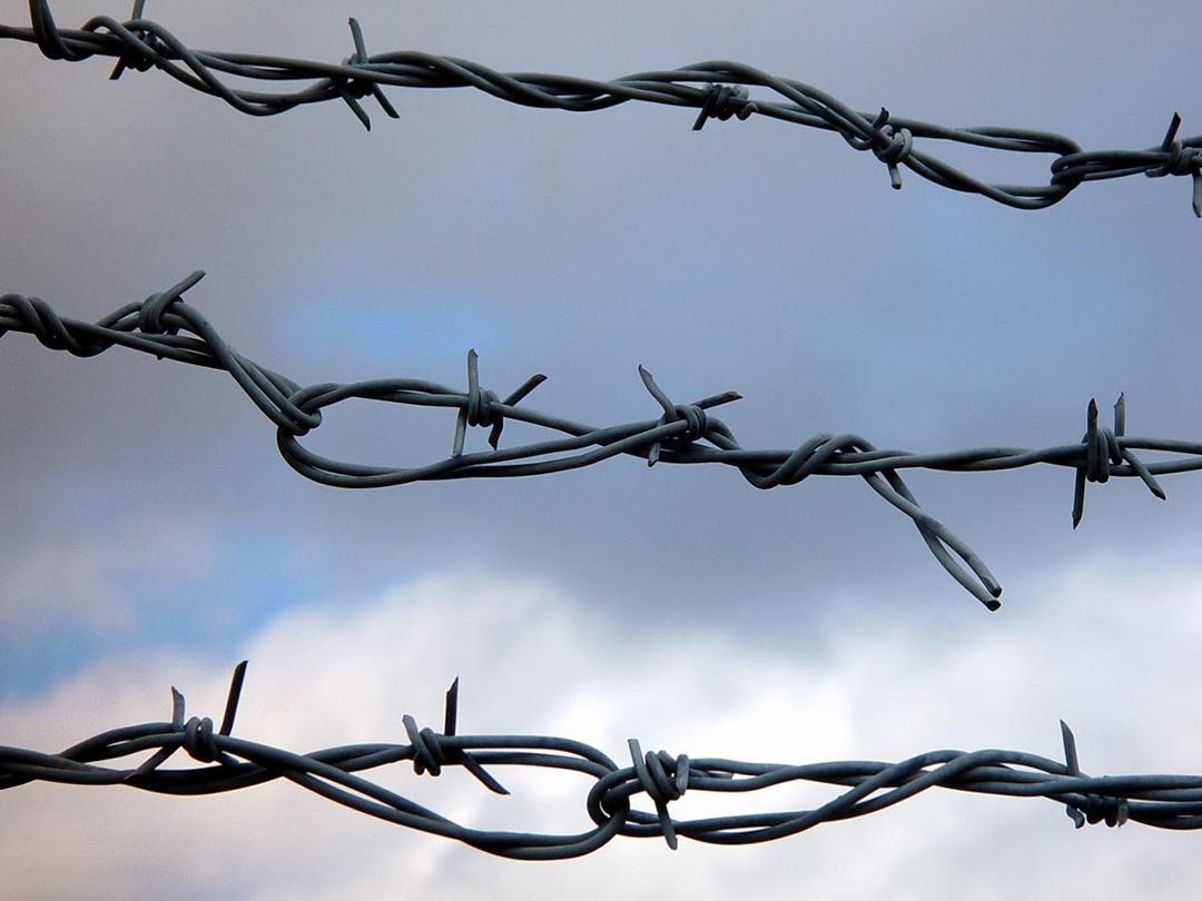 На качелях власти. Пропавшие жёны (na-kacheljah-vlasti-propavshie-zheny) Документальный фильм