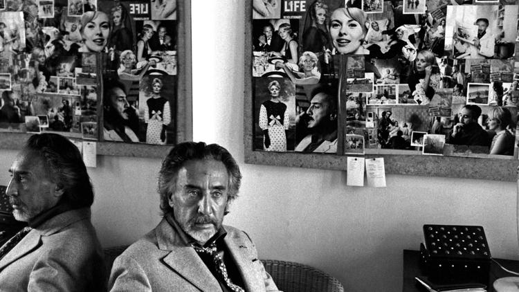 Постер Romain Gary, le roman du double