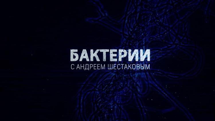 Постер Бактерии